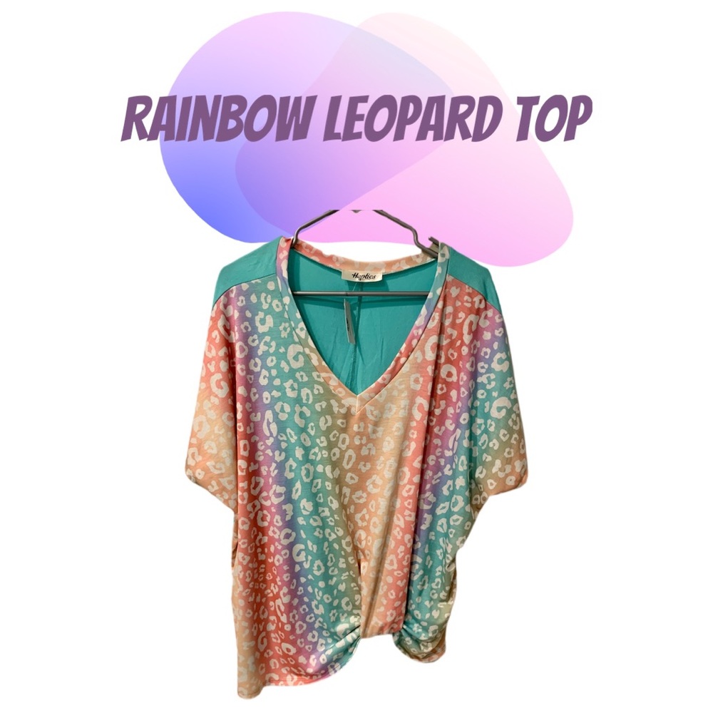 NWT Holly Harper Rainbow 🌈 Leopard 🐆 Shirt